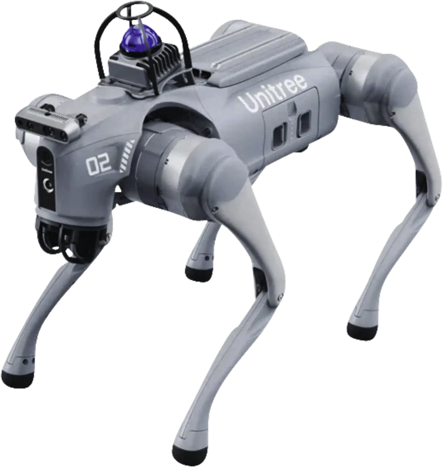 Roboterhund