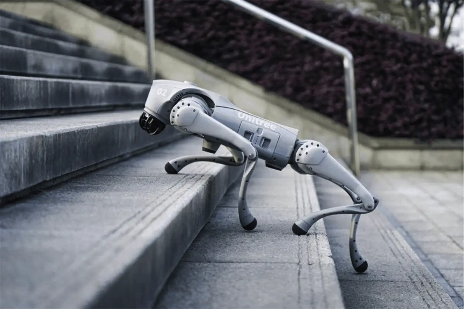 Roboterhund