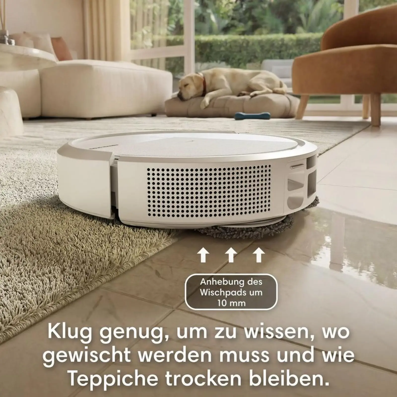 Nasswisch-Roboter, Staubsauger-Roboter, Clean Base,IRobot weiß
