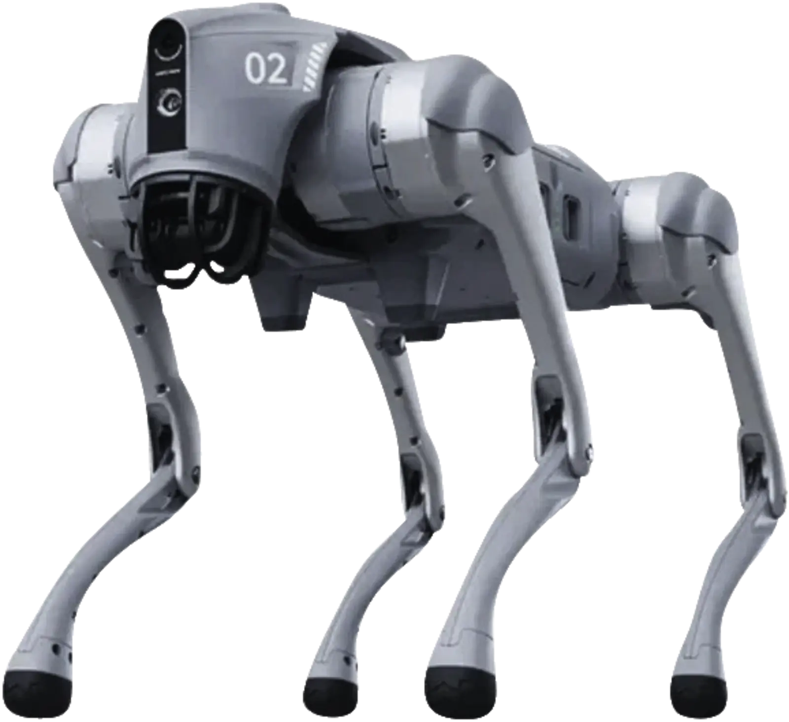 Roboterhund